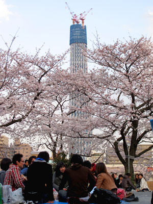 100403sumida-tower.jpg
