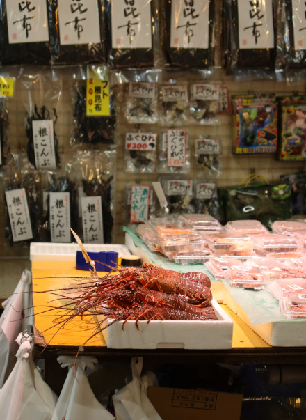 250507sakana.JPG