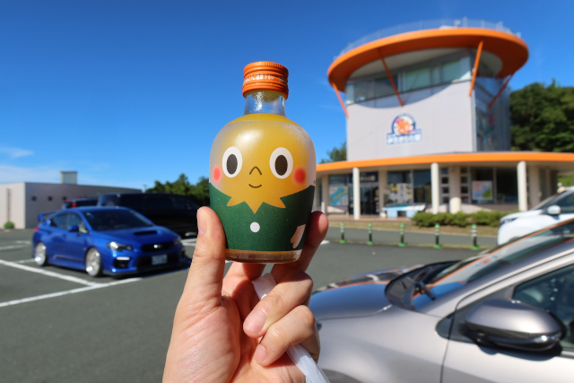 250902mikan.JPG